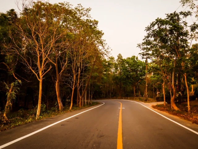 Your Arabic Learning Roadmap